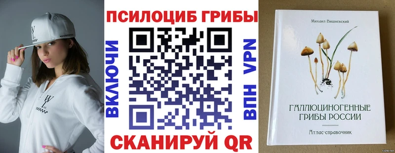Псилоцибиновые грибы Cubensis Купить закладки Фурманов