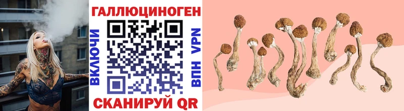 Псилоцибиновые грибы Magic Shrooms Фурманов
